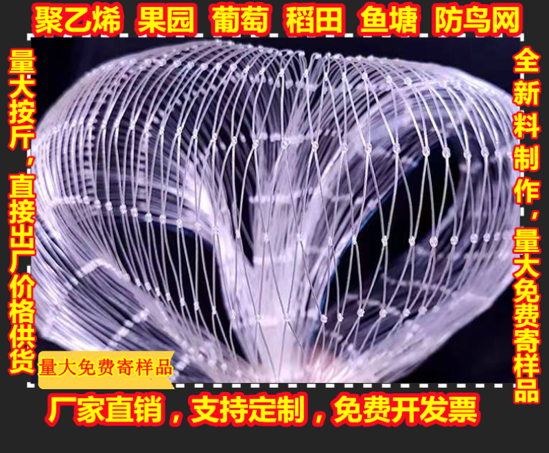 果园防鸟网防鸟神器果树防鸟网葡萄网樱桃尼龙防鸟网鱼塘养殖