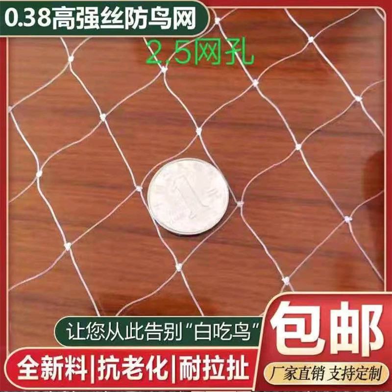 果园防鸟网防鸟神器果树防鸟网葡萄网樱桃尼龙防鸟网鱼塘养殖