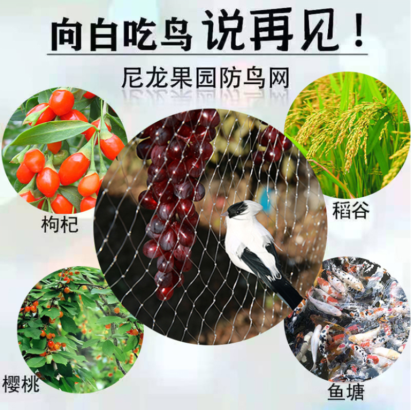 果园防鸟网防鸟神器果树防鸟网葡萄网樱桃尼龙防鸟网鱼塘养殖