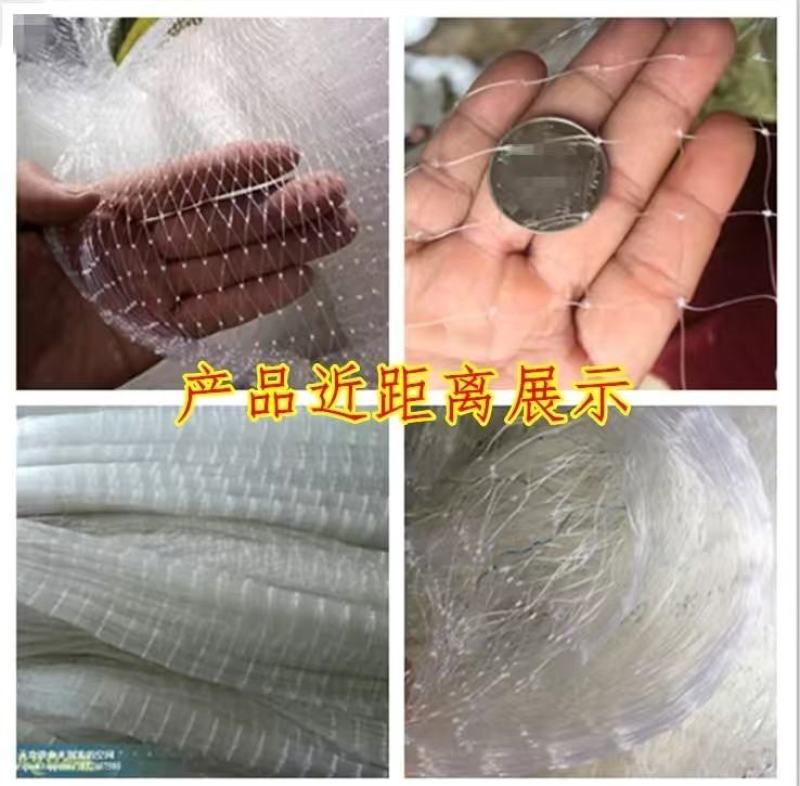 果园防鸟网防鸟神器果树防鸟网葡萄网樱桃尼龙防鸟网鱼塘养殖