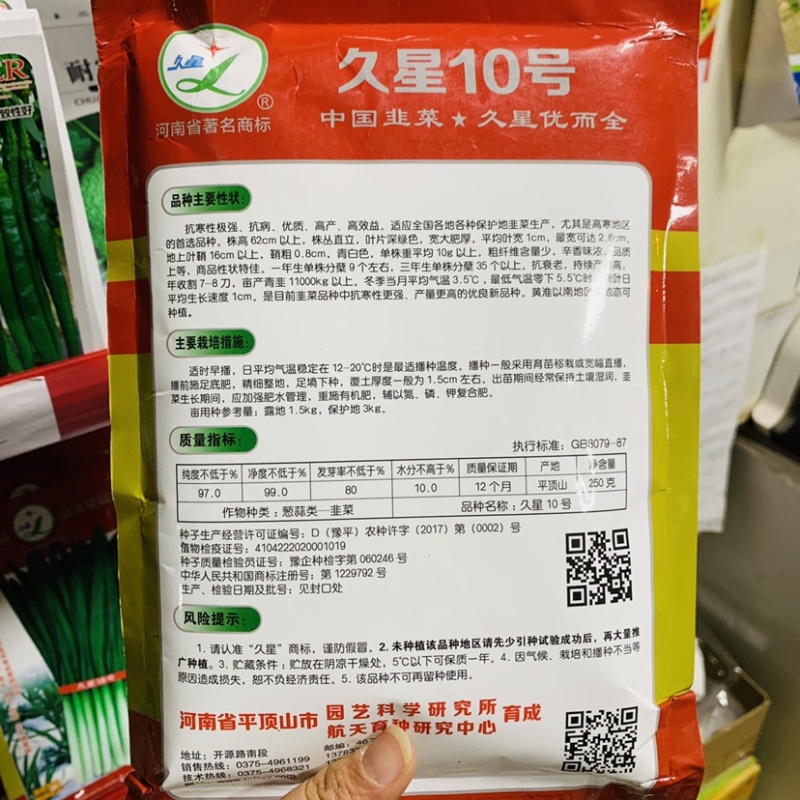 久星10号韭菜种子抗寒性特强全国各地保护地韭菜生产