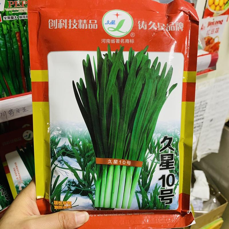 久星10号韭菜种子抗寒性特强全国各地保护地韭菜生产