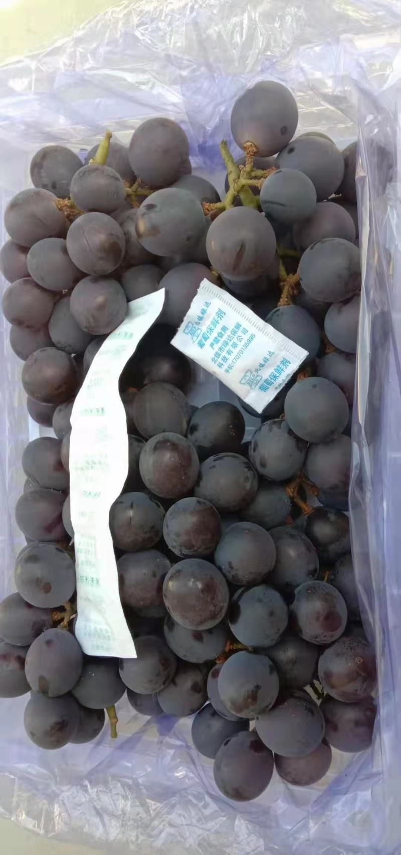 巨峰葡萄，大小筐货源充足，质量有保证，价格合理，欢迎合作