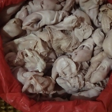 乳牛肚