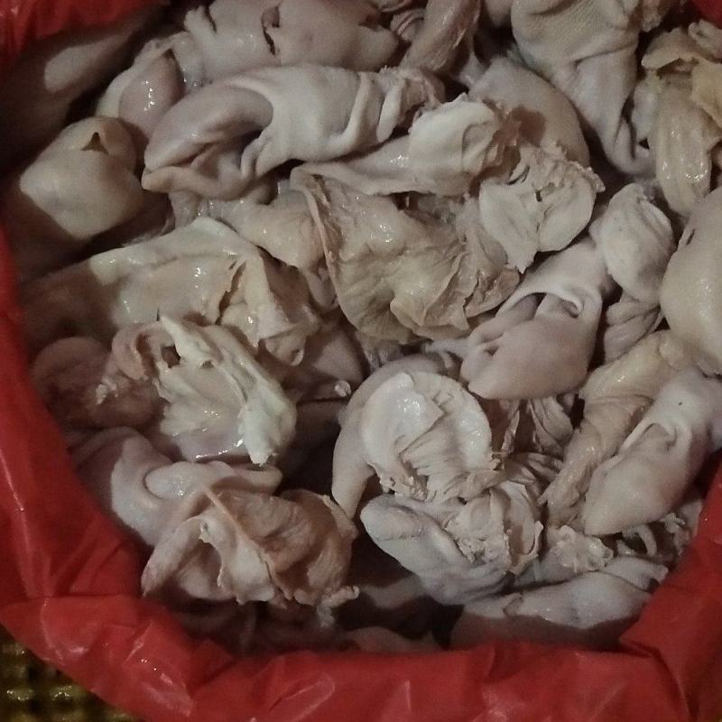 乳牛肚