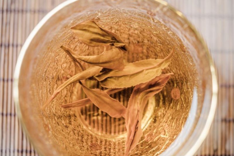马边县石梁纯野生红茶*半山具有独特的茶树木香味
