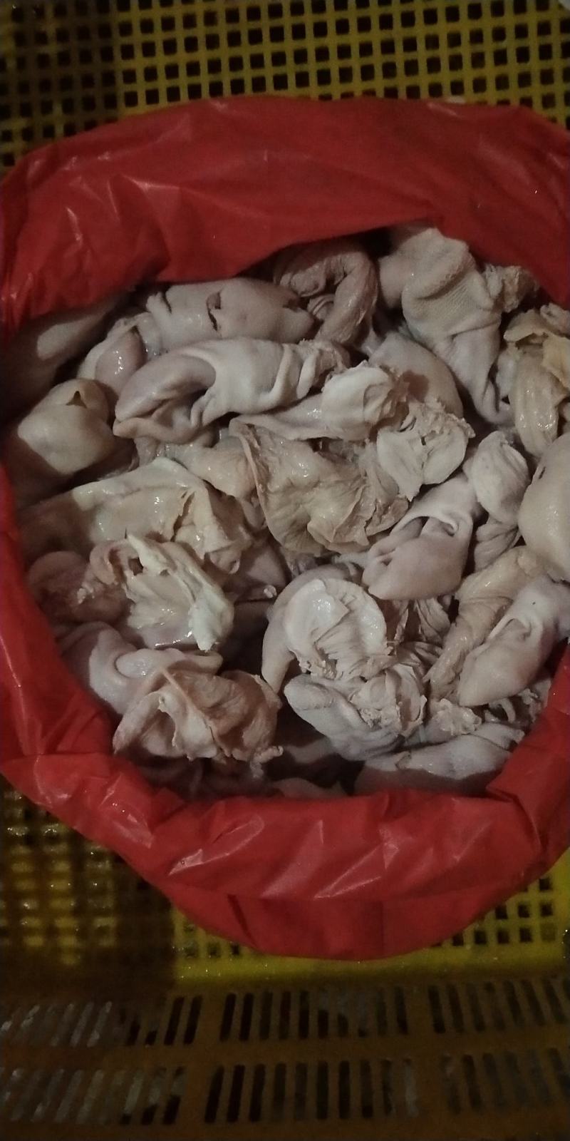 乳牛肚