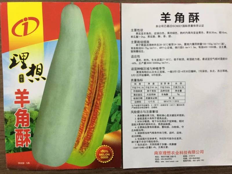 羊角酥瓜甜瓜种子四季播田园阳台盆栽薄皮甜羊角脆羊角蜜香瓜