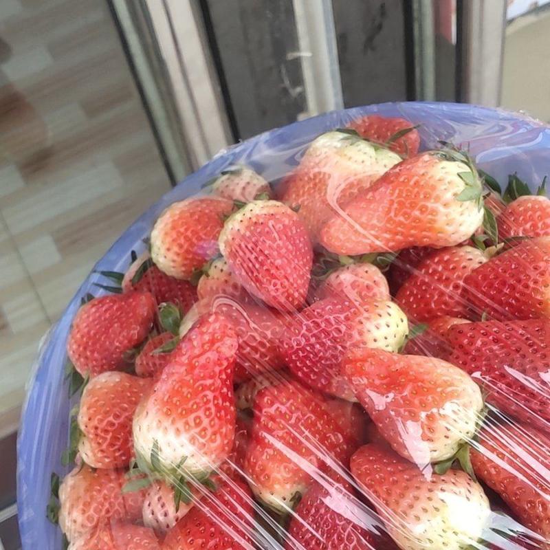 章姬奶油大草莓