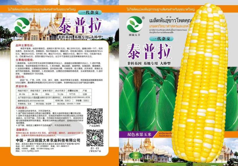 泰普拉双色玉米种，非转基因，基地专用，大棒型。