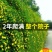 迎春花小苗产地价格绿化攀援植物地被开花花灌木迎春根系好