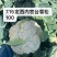 【牛】定西菜花散花商超品质量大从优产地直发