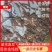 水蛭精品卵茧，大学生村官项目，提供技术指导签订收购合同