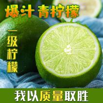 独立包装青柠檬薄皮四川安岳泡水应季水果有籽新鲜酸甜批发