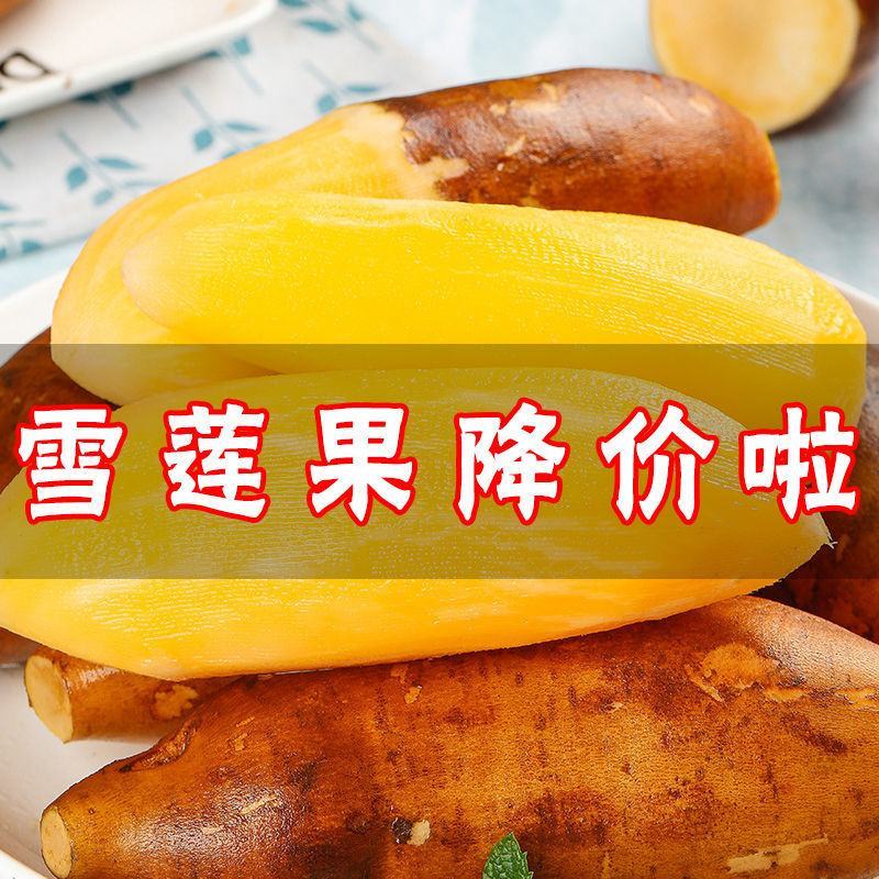 云南天山雪莲果黄心高山红泥新鲜水果对接商超批发一件代发