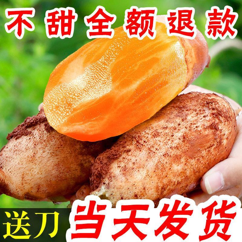 云南天山雪莲果黄心高山红泥新鲜水果对接商超批发一件代发