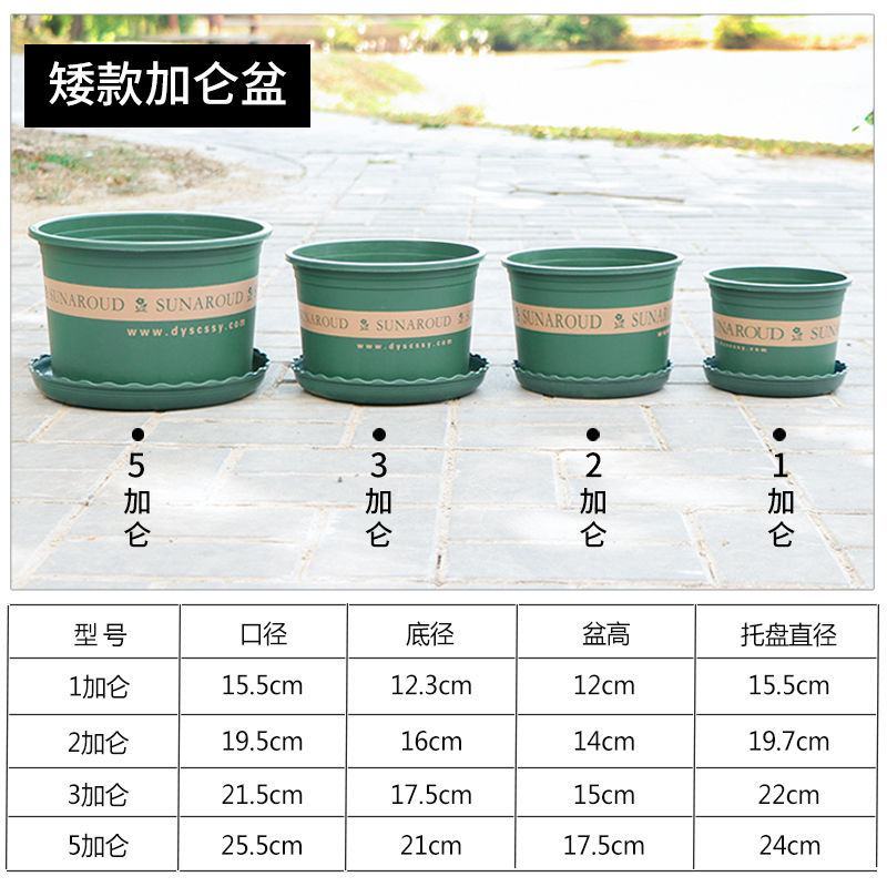 【厂家】特花盆批发塑料花盆加仑加仑花盆阳台花盆包邮