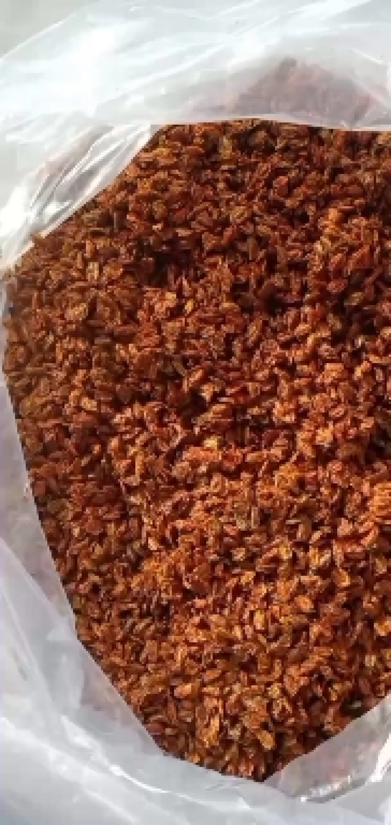 长白山沙棘果干