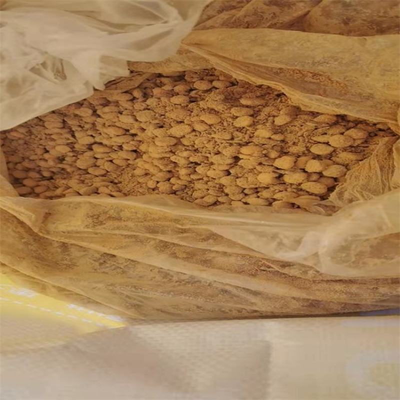 发酵大豆微生物菌肥腐熟大豆有机肥生物菌发酵蛋白黄豆发酵