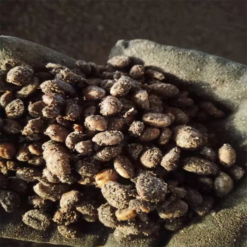 发酵大豆微生物菌肥腐熟大豆有机肥生物菌发酵蛋白黄豆发酵