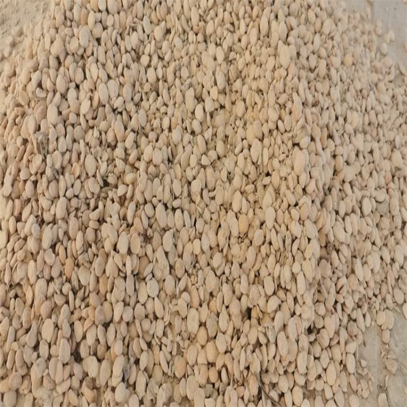 发酵大豆微生物菌肥腐熟大豆有机肥生物菌发酵蛋白黄豆发酵