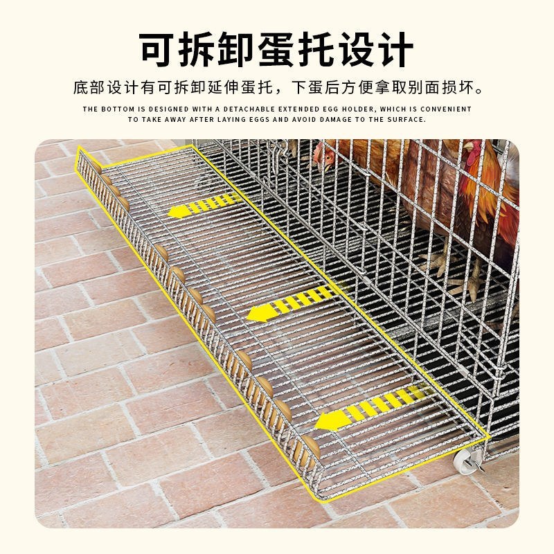 鸡笼子家用加粗大号养殖笼折叠鸭笼鹅笼狗笼自动滚蛋鸡笼厂家