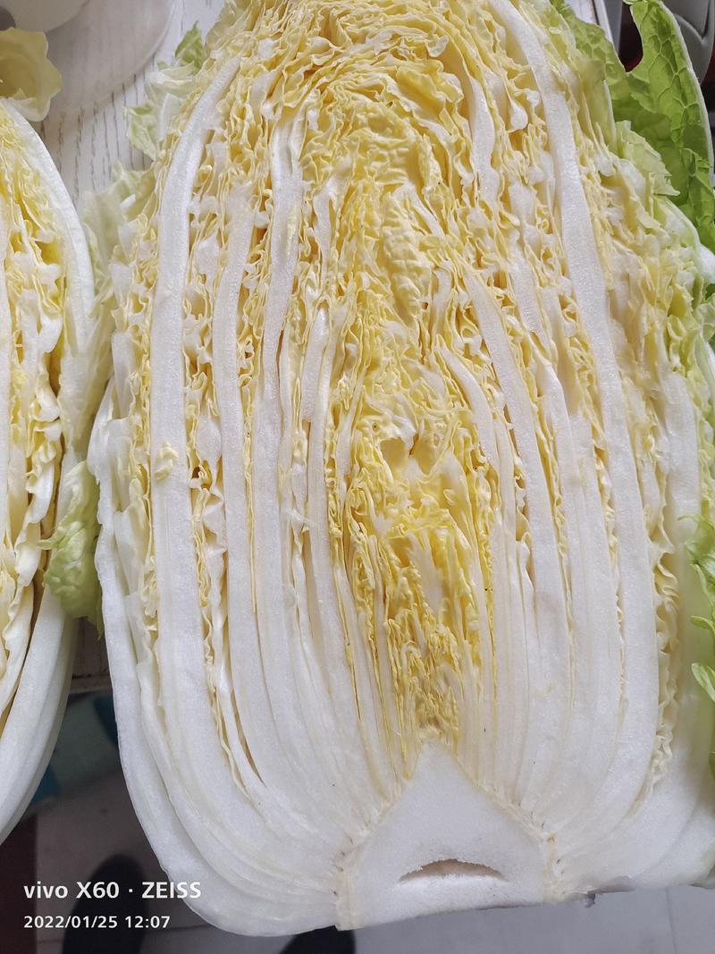 平度地区新鲜黄心大白菜袋装毛菜大量有货价低菜鲜量大