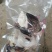 商品鳄鱼肉需要可以联系量大优惠合法人工养殖