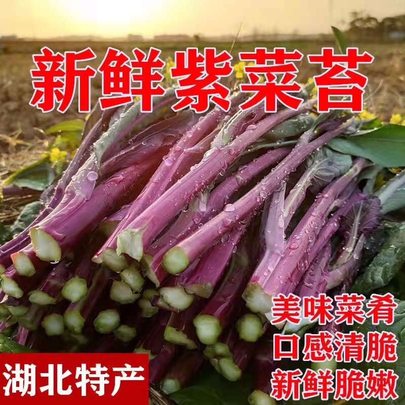 红菜苔，新鲜脆嫩，价格实惠，保质保量，诚信经营。
