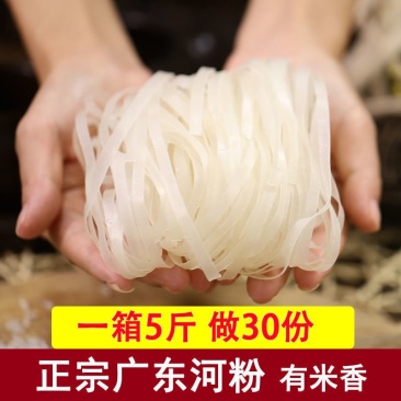 【送调料】简妙广东河粉整箱炒河粉干正宗散装商用沙河粉批发