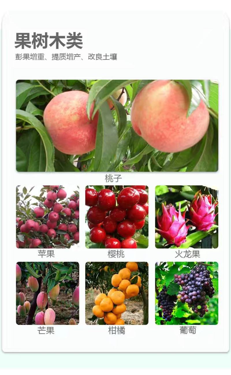 替代化肥含腐殖酸水溶肥料果园蔬菜增产增收根腐病快速生根农