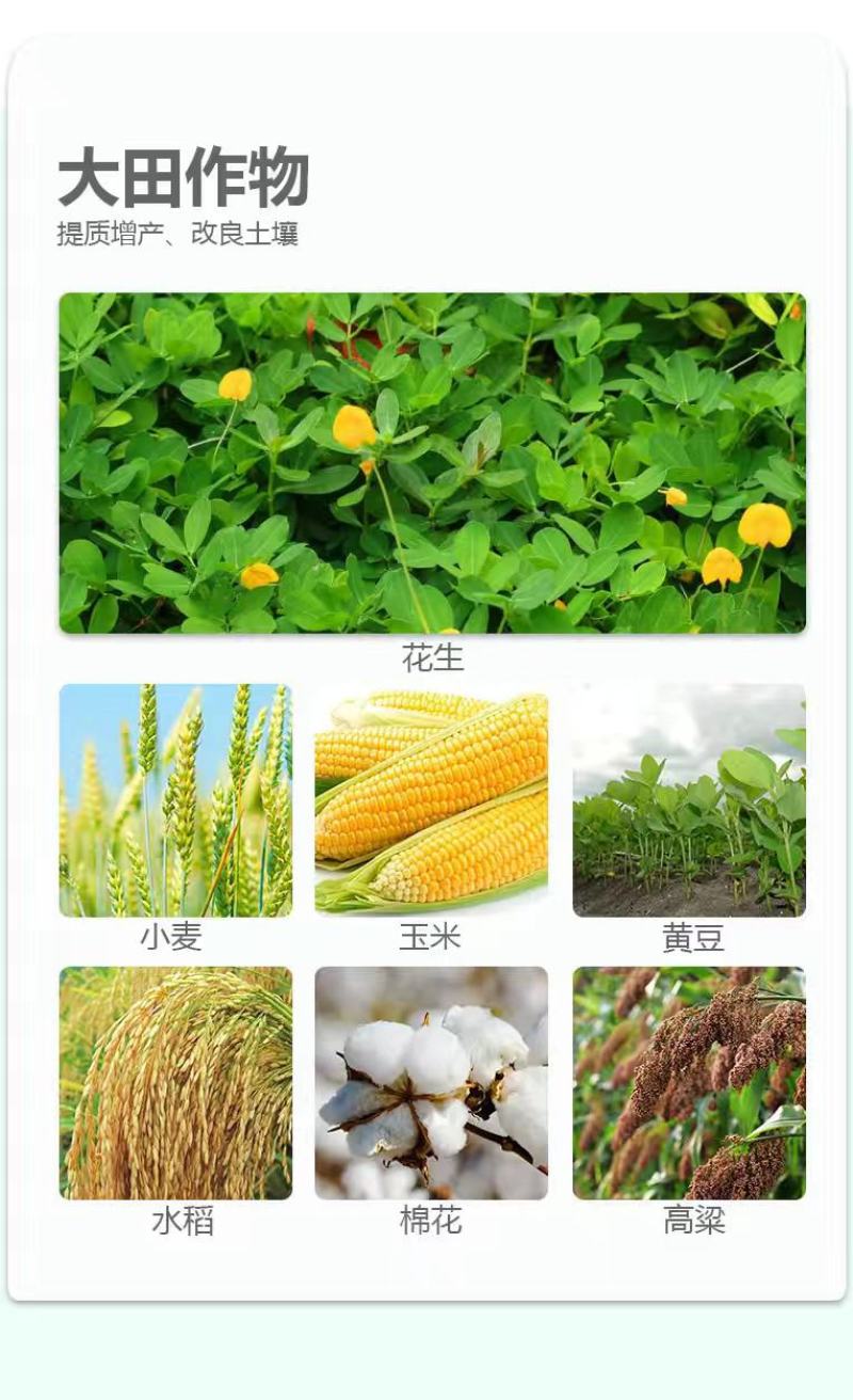 替代化肥含腐殖酸水溶肥料果园蔬菜增产增收根腐病快速生根农