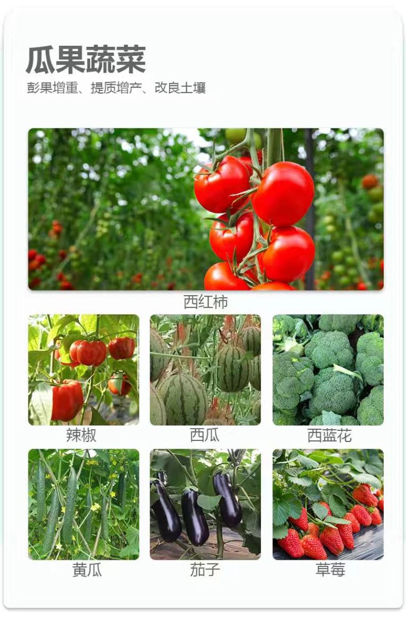 替代化肥含腐殖酸水溶肥料果园蔬菜增产增收根腐病快速生根农