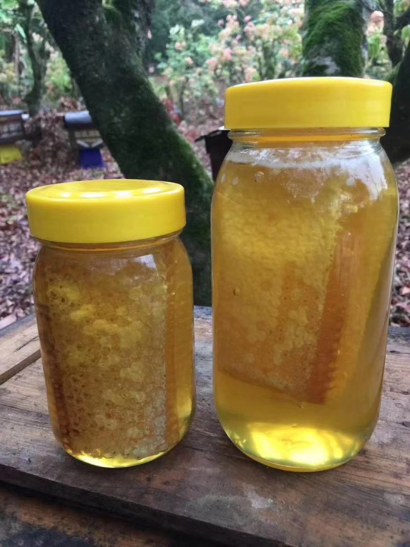 高品质纯野生蜂蜜