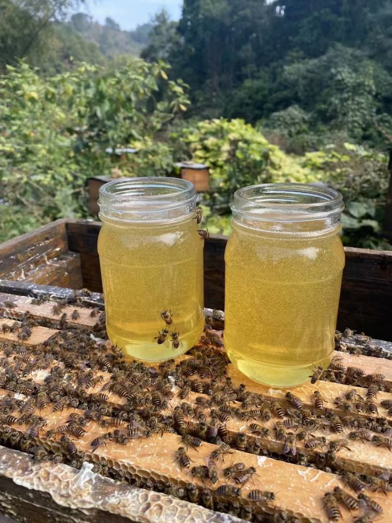 高品质纯野生蜂蜜