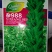 杂988芝麻种子