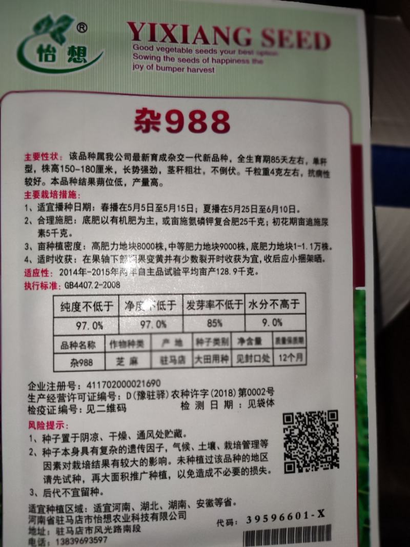 杂988芝麻种子