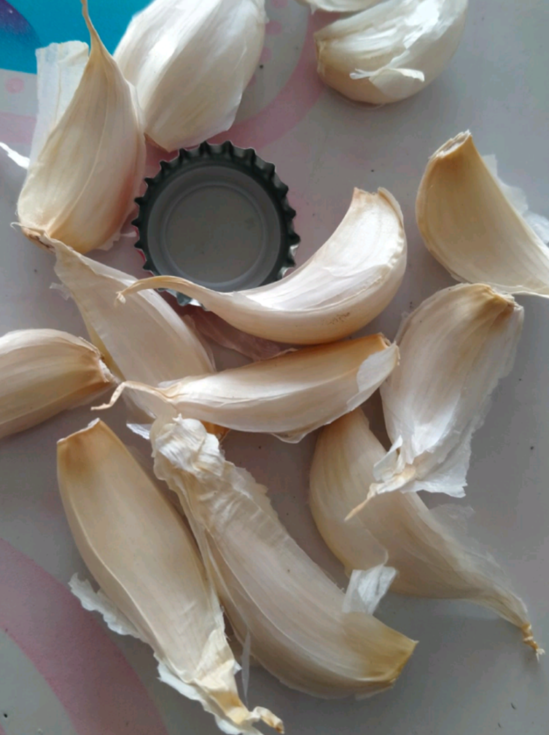 吉林一点红蒜种，保质保量，欢迎采购！诚信经营