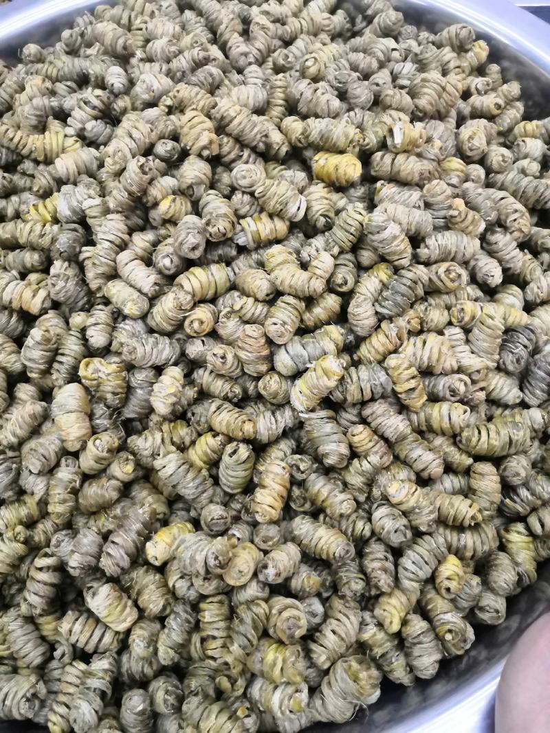 铁皮枫斗石斛，可直视产地直销，胶质好，化渣，干货，做工好