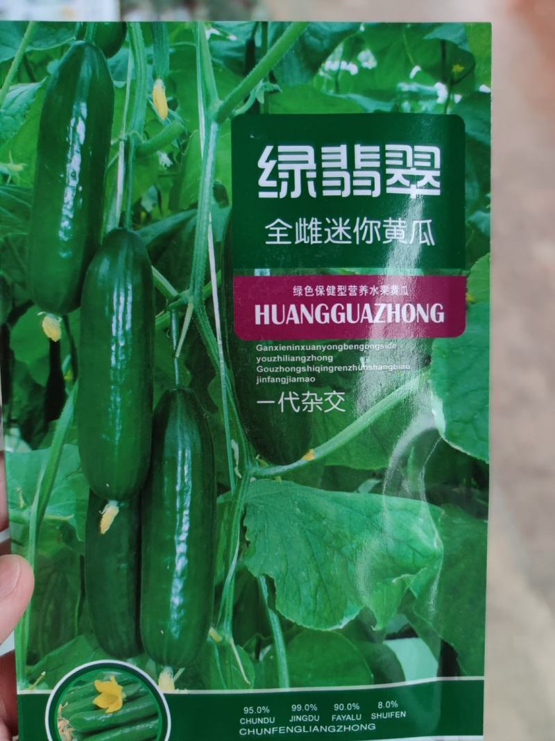 绿翡翠黄瓜种子全雌迷你水果黄瓜100粒