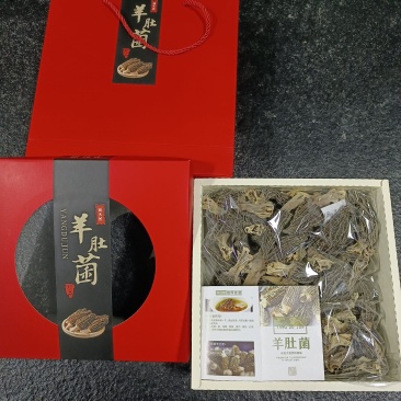 羊肚菌