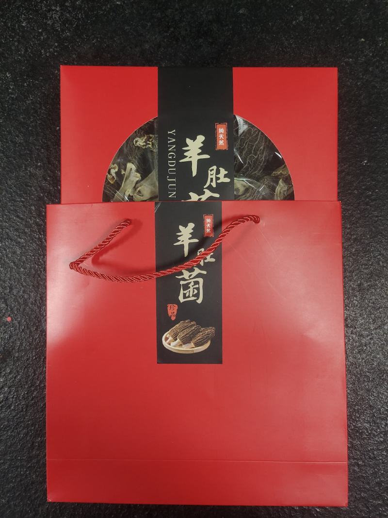 羊肚菌