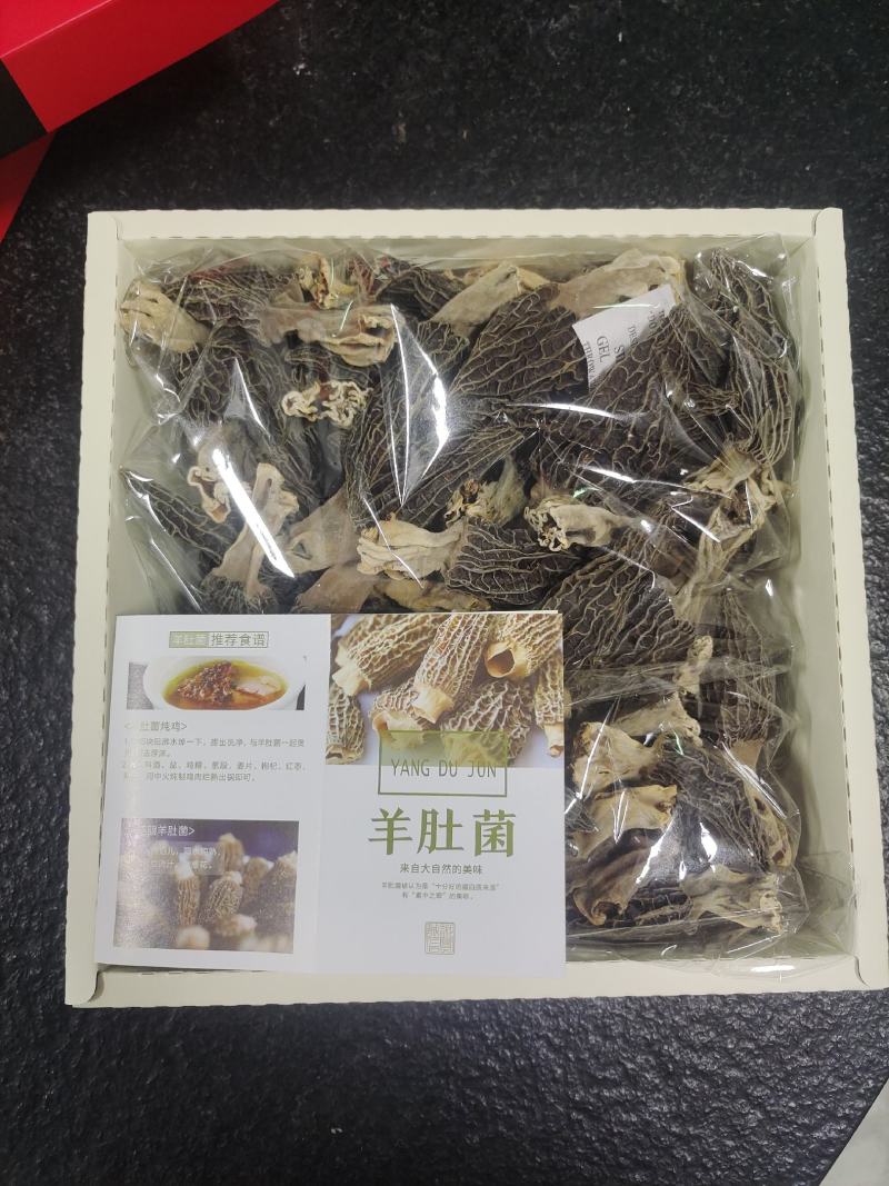 羊肚菌
