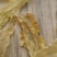 B厂110头挪威鳕鱼胶花胶足干颜色浅黄色纯淡干货没有加料