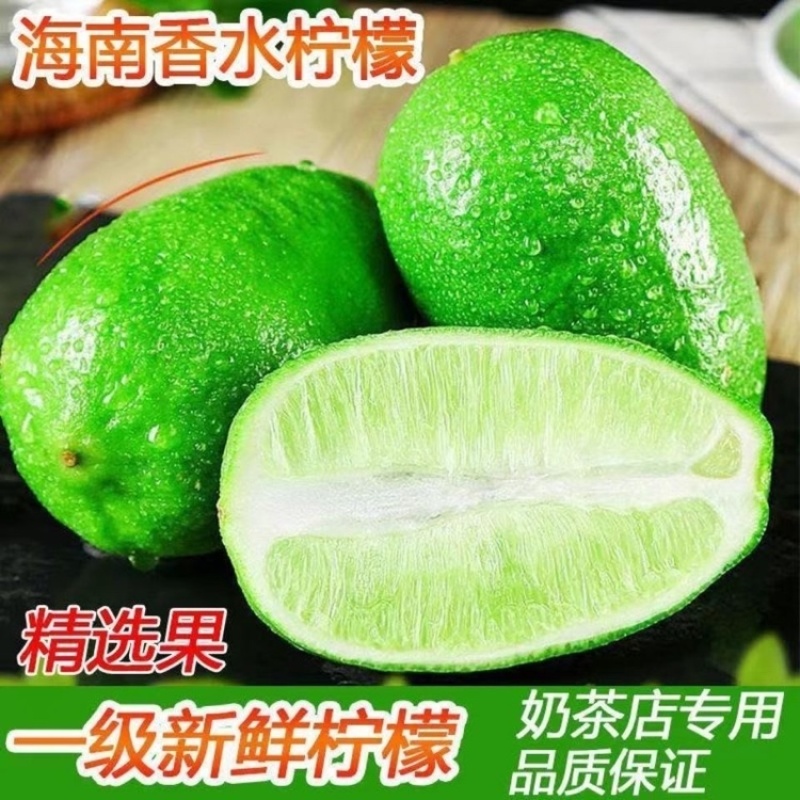 【新鲜现摘】无籽香水柠檬青柠檬5斤1斤装奶茶店专用