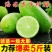 【新鲜现摘】无籽香水柠檬青柠檬5斤1斤装奶茶店专用