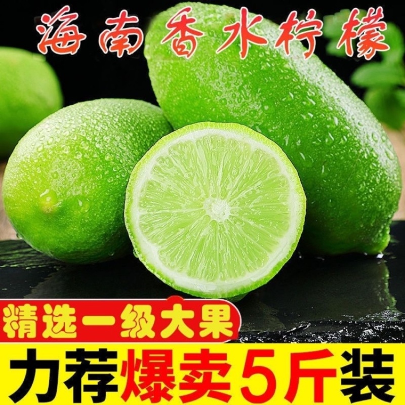 【新鲜现摘】无籽香水柠檬青柠檬5斤1斤装奶茶店专用