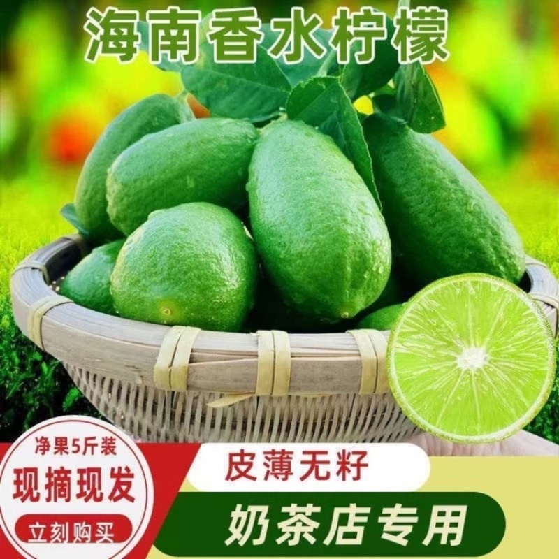 【新鲜现摘】无籽香水柠檬青柠檬5斤1斤装奶茶店专用