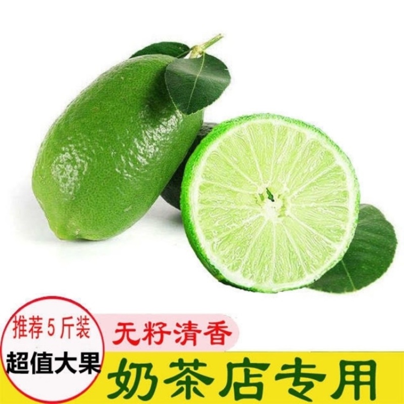 【新鲜现摘】无籽香水柠檬青柠檬5斤1斤装奶茶店专用