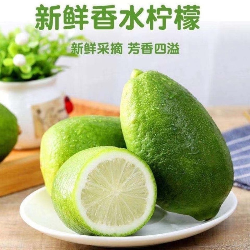 【新鲜现摘】无籽香水柠檬青柠檬5斤1斤装奶茶店专用